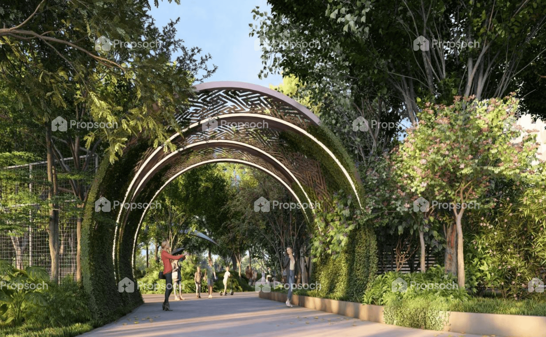 SOLCREST image 1 SOLCREST image 1