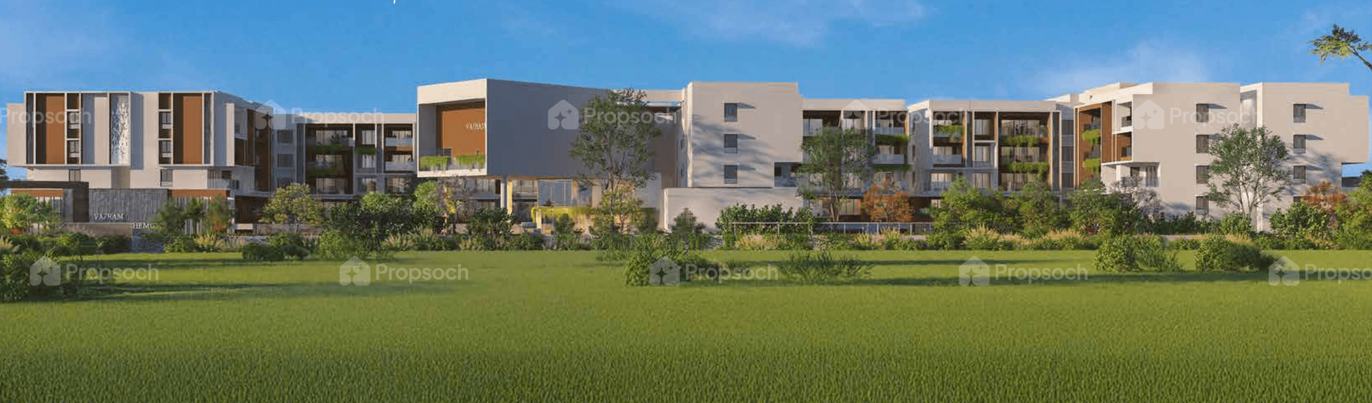 Vajram Chrysanthemum image 2 Vajram Chrysanthemum image 2