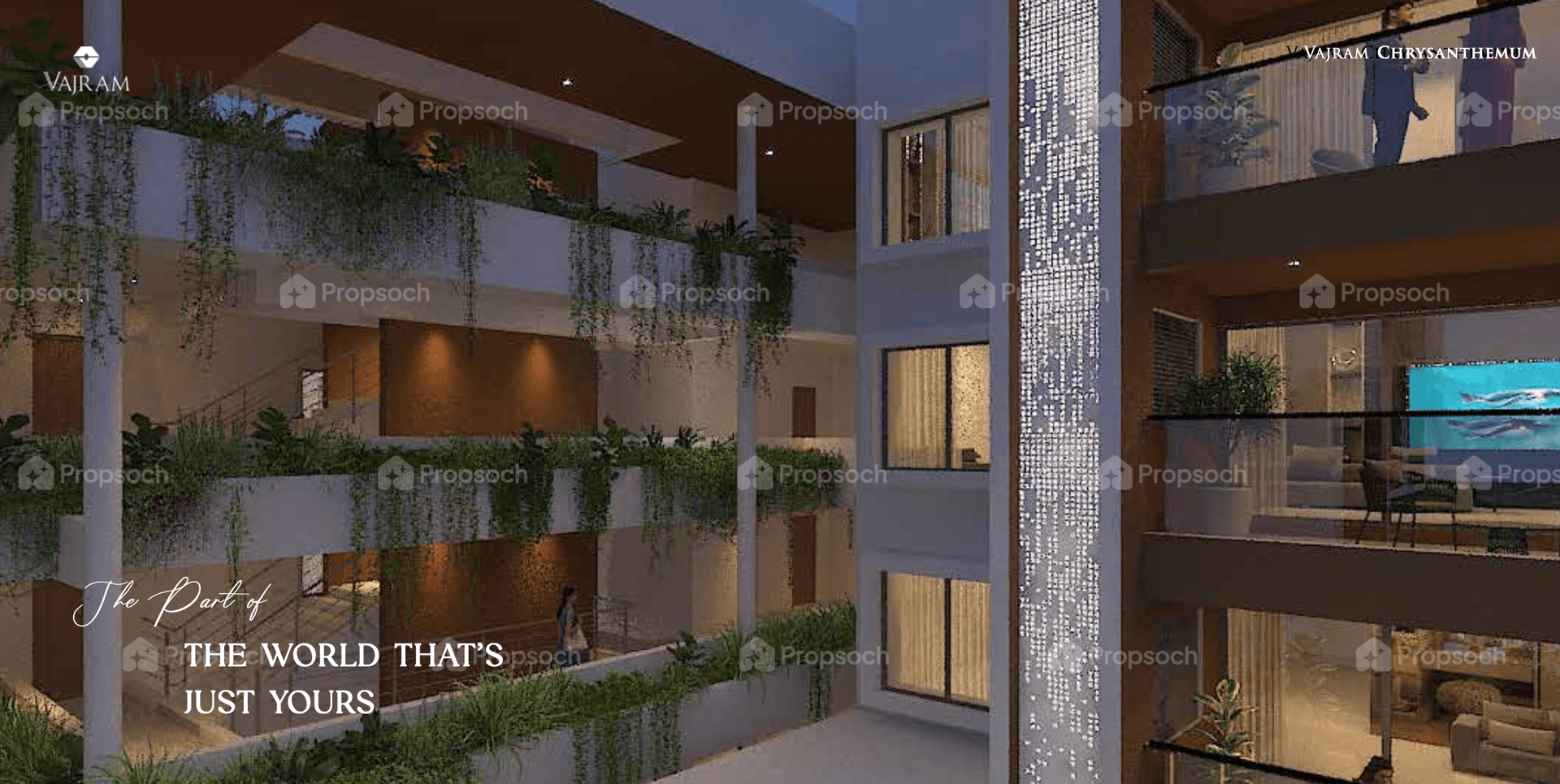 Vajram Chrysanthemum image 4 Vajram Chrysanthemum image 4