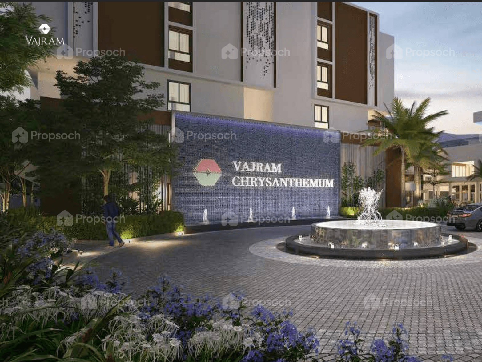 Vajram Chrysanthemum image 3 Vajram Chrysanthemum image 3